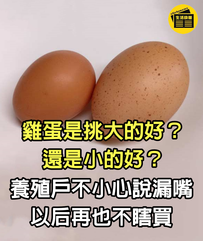 雞蛋是挑大的好還是小的好？養殖戶不小心說漏嘴，以后再也不瞎買，漲知識了！