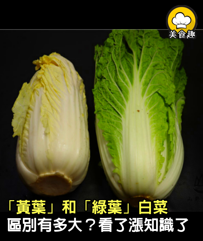 「黃葉」和「綠葉」白菜區別有多大？菜販子無意說漏嘴，漲知識了