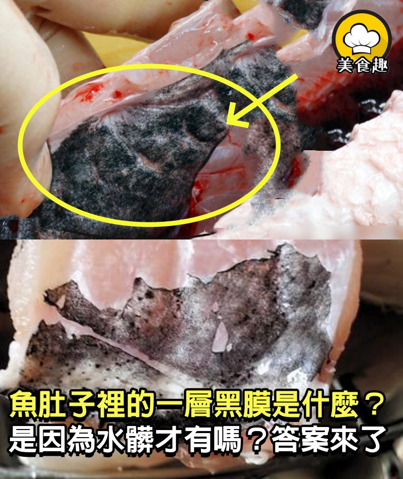 魚肚子裡的一層「黑膜」是什麼？真是因為水髒才有嗎？答案來了