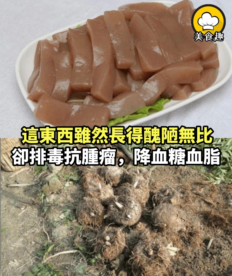 這東西雖然長得醜陋無比，但是卻排毒抗腫瘤，降血糖血脂，味道也非常好！