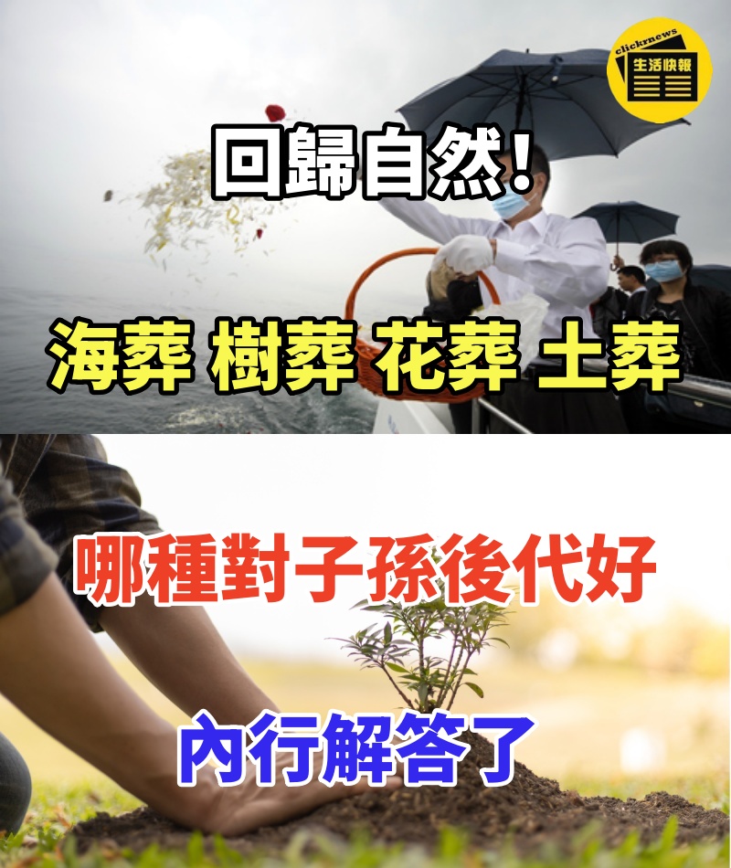 回歸自然!「海葬、樹葬、花葬、土葬」哪種對子孫後代好!內行解答了
